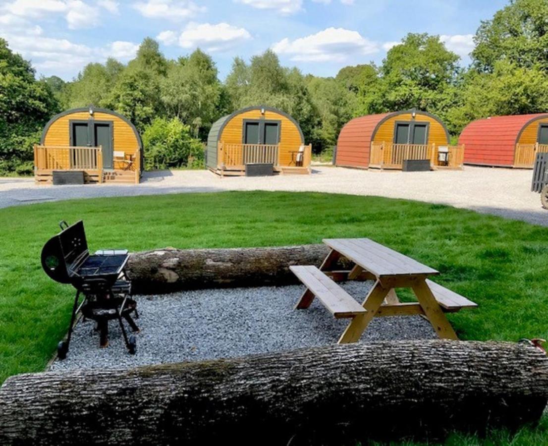 Earth Pod 2 Pet Friendly Villa Neath Exterior foto